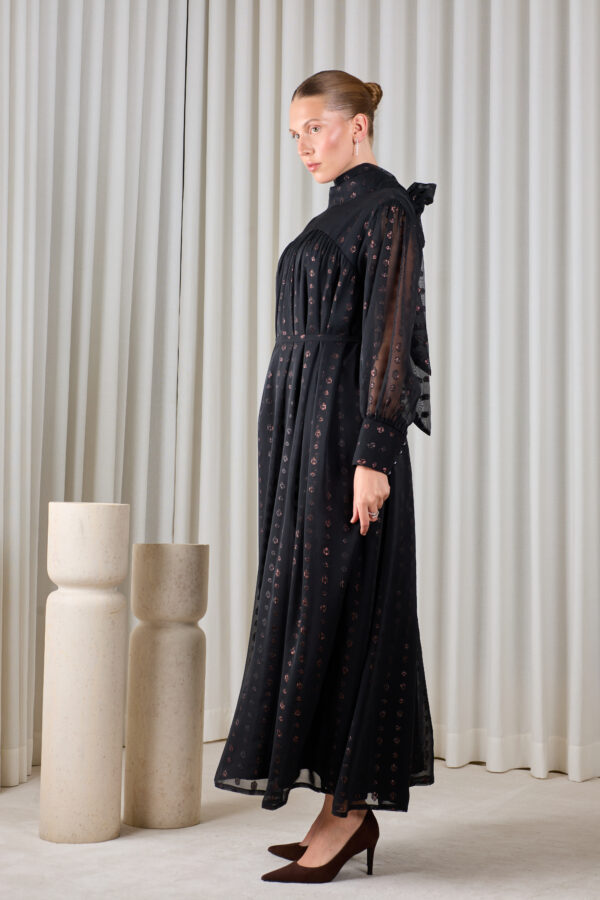 Noir Sheer Evening Dress