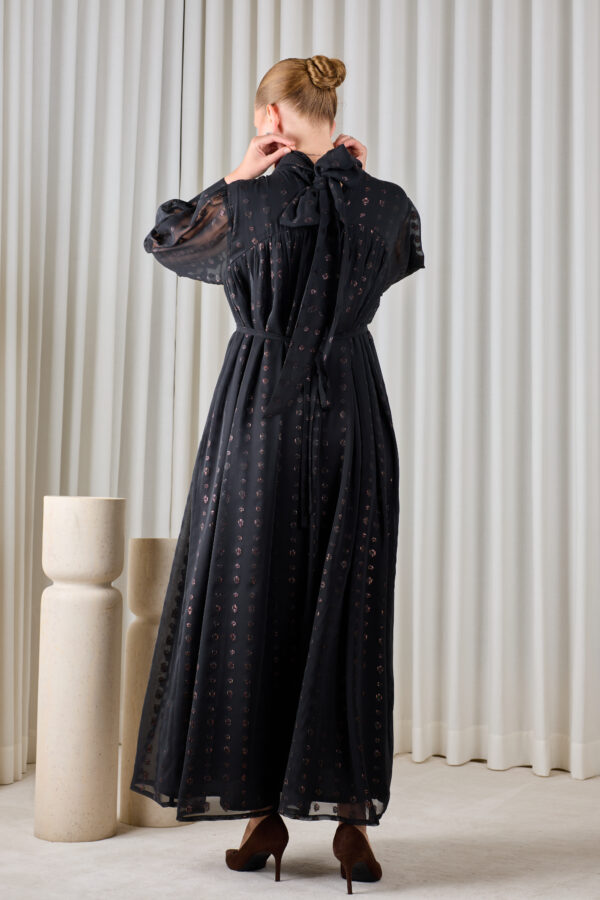 Noir Sheer Evening Dress
